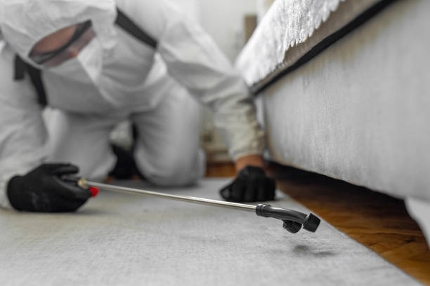 Professional Termite Control technician working in Briscoe County County, TX